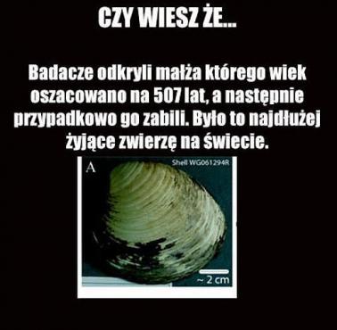 Małż