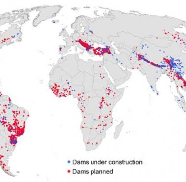 Planowane (czerwone kropki 83%) i w budowie (niebieskie kropki 17%) elektrownie wodne na całym świecie