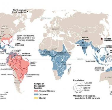Populacja i występowanie krokodyli na świecie