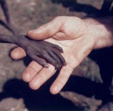 Wygłodzony chłopiec podaje dłoń misjonarzowi, Uganda