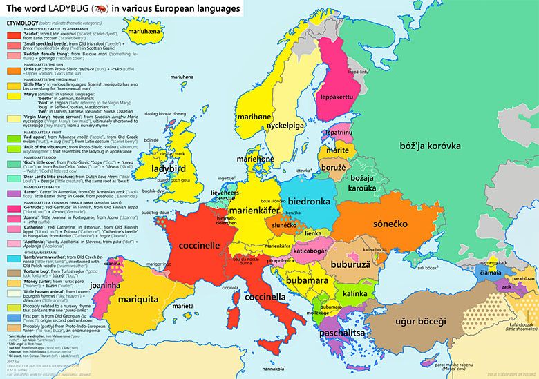 Słowo biedronka w różnych europejskich językach
