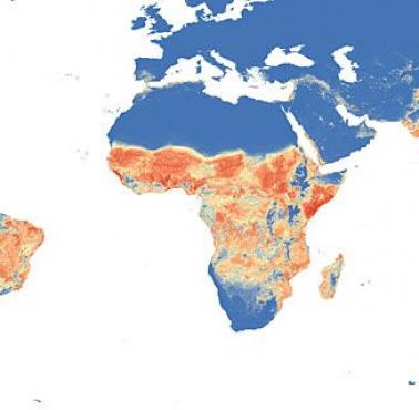 Obszary na świecie, gdzie arbovirusy mogą być przenoszone przez kleszcze, komary i inne owady