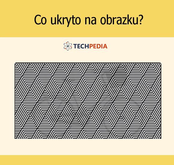 Co ukryto na obrazku?