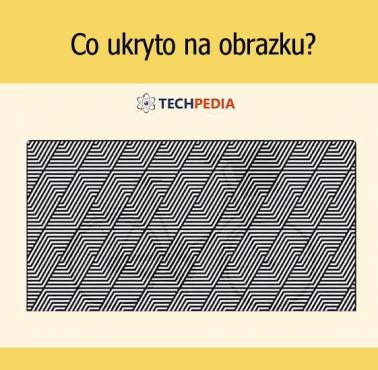 Co ukryto na obrazku?