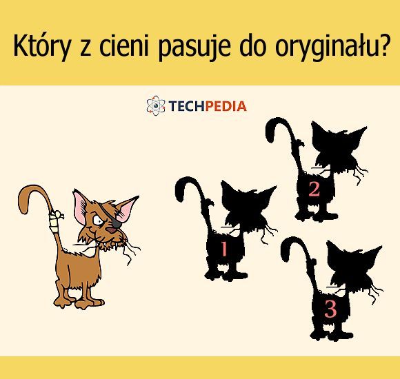 Który z cieni pasuje do oryginału?