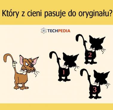 Który z cieni pasuje do oryginału?