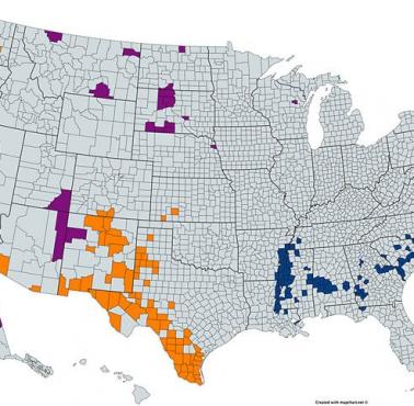 Powiaty USA, gdzie większość stanowią mniejszości rasowe i etniczne