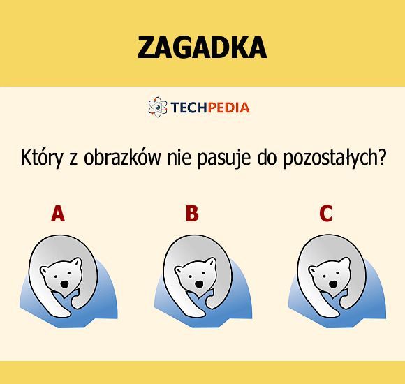 Jakie jest rozwiązanie zagadki?