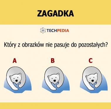 Jakie jest rozwiązanie zagadki?