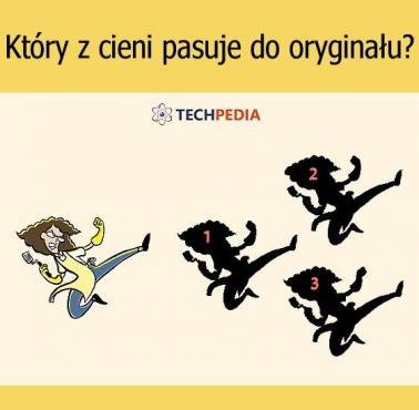 Który z cieni pasuje do oryginału?