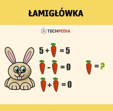 Jakie jest rozwiązanie łamigłówki?