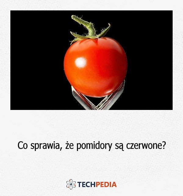 Co sprawia, że pomidory są czerwone?