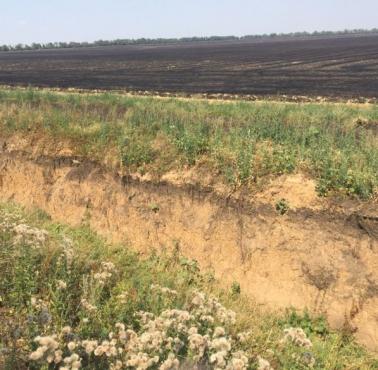 Granica Pridniestrza z Ukraina.Niedawno Ukraina wykopała rów przeciwczołgowy i spaliła ziemię na kilkaset metrów