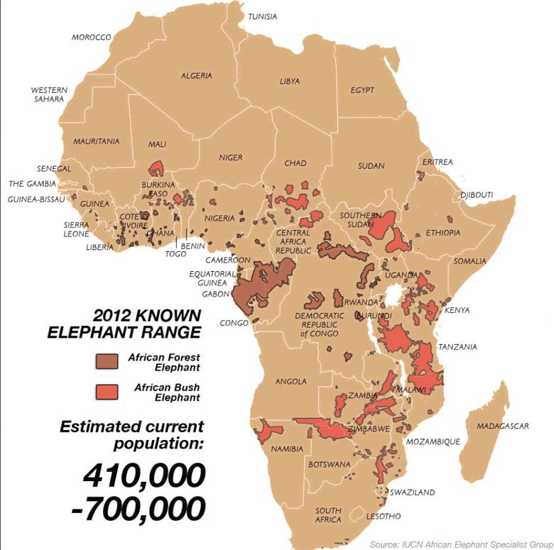 Zakres i populacja słoni afrykańskich w XIX wieku i współcześnie (animacja), 2012
