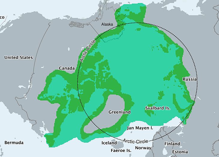 Zasięg występowania niedźwiedzi polarnych