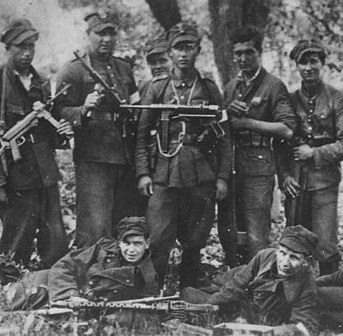 27 Wołyńska Dywizja Piechoty Armii Krajowej (27 DP AK), 1944