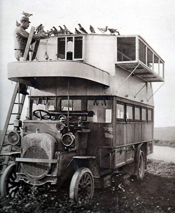 Autobus z gołębiami, które służyły w wojsku do przenoszenia meldunków z frontu, 1916