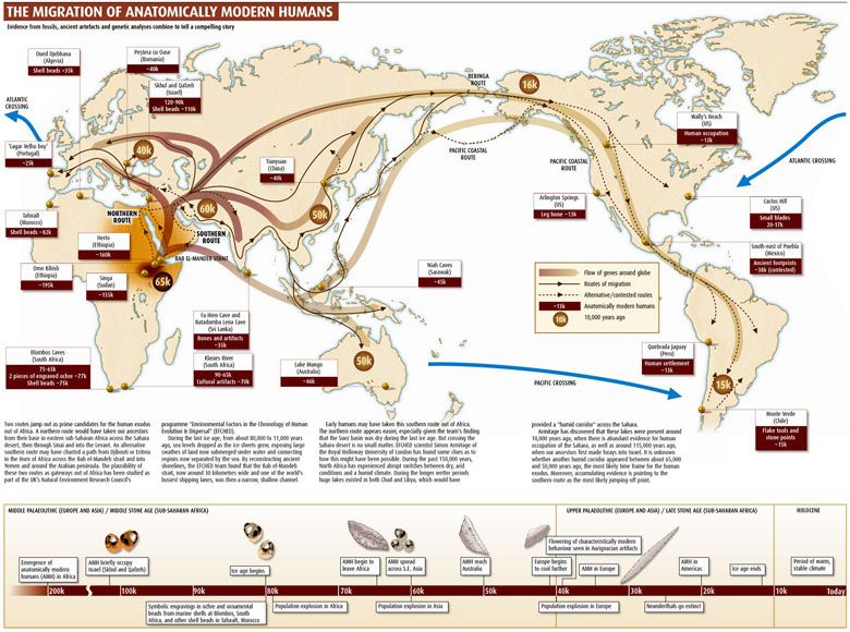 Rozprzestrzenianie się gatunku homo sapiens (migracje)