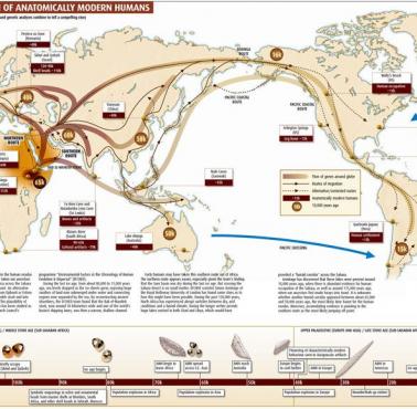 Rozprzestrzenianie się gatunku homo sapiens (migracje)