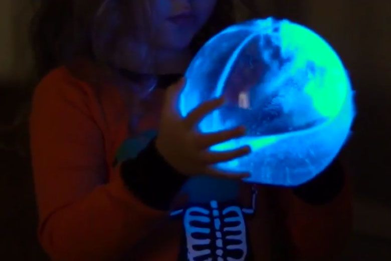 Bioluminescencyjne akwarium z planktonem, który świeci po wstrząśnięciu (wideo)