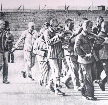 Obozowa orkiestra prowadzi skazanego na śmierć i zamkniętego w skrzyni niedoszłego uciekiniera z obozu - Hansa Bonarewitza, 1942