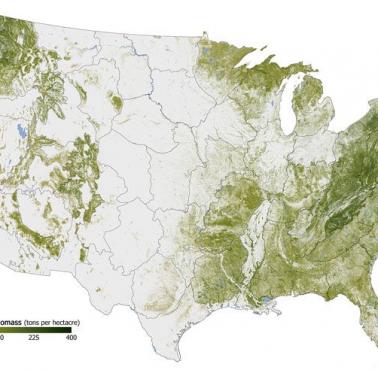 Mapa lasów w USA