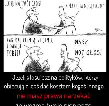 Demokracja w pigułce