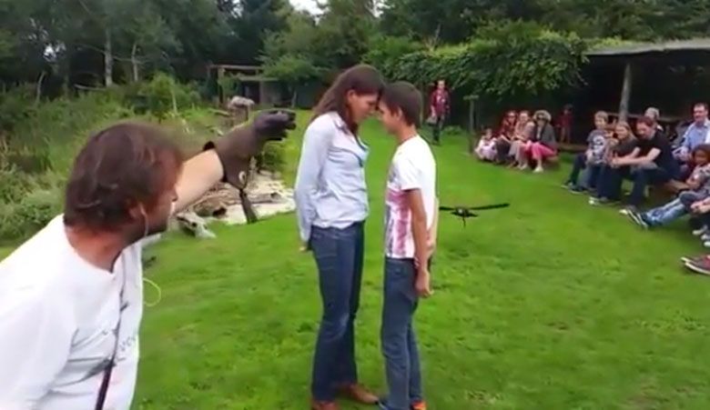 Orzeł zawsze wybiera najkrótszą drogę do swojej ofiary .... (wideo)