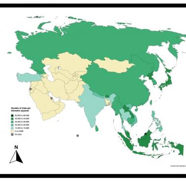 Liczba drzew na kilometr kwadratowy w Azji. Zalesienie (lesistość) Azji