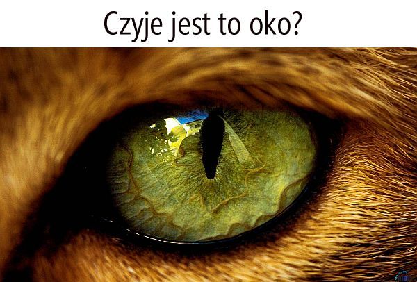 Czyje to oko?