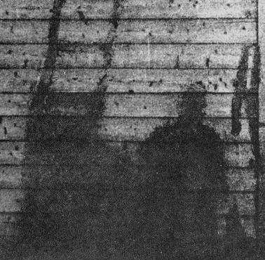 Cień spalonych przez bombę atomową ludzi, Hiroszima, 6 sierpnia 1945