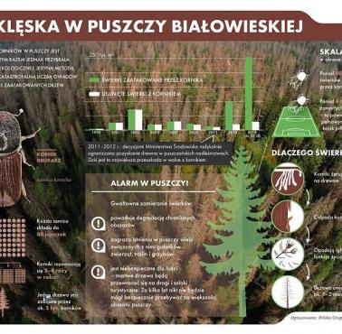 Klęska w Puszczy Białowieskiej spowodowana działaniami ekologów i Komisji Europejskiej