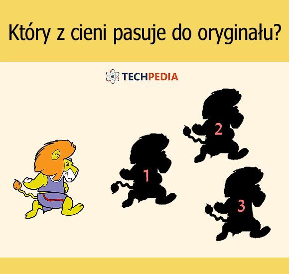 Który z cieni pasuje do oryginału?