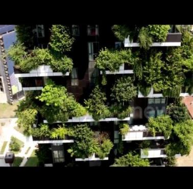 Dwa zielone bloki Bosco Verticale, 111 i 76 metrów, z ponad 900 drzewami, Boeri Studio, Milan, Włochy (wideo HD)