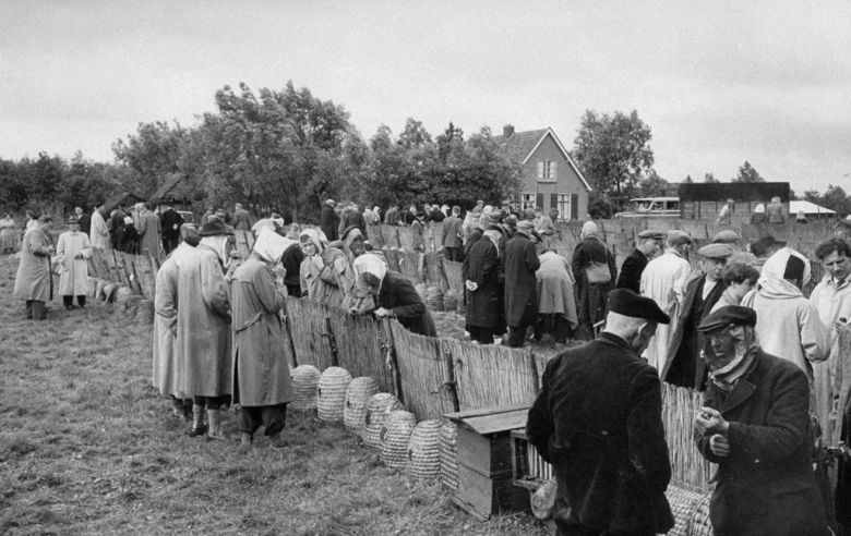 Pszczeli targ, Holandia, 1956