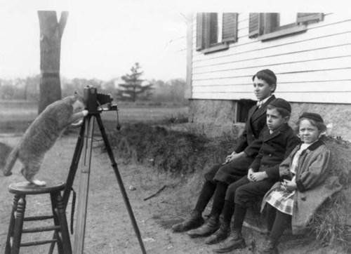 Uwaga pstryk! Wakefield, Massachusetts, 1909 rok