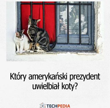 Który amerykański prezydent uwielbiał koty?