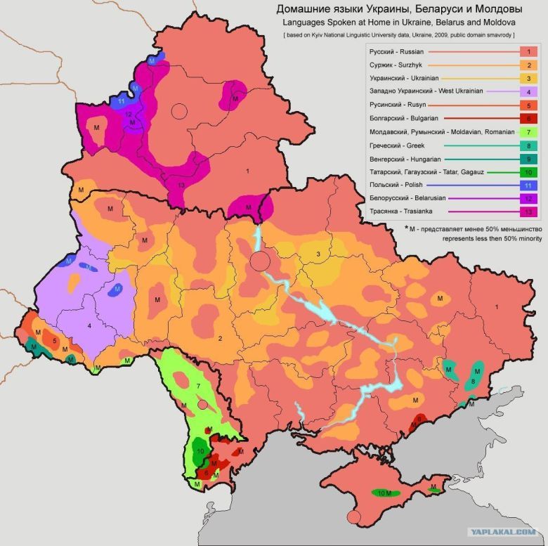 Języki używane w domach na Białorusi, na Ukrainie i Mołdawii (rus)
