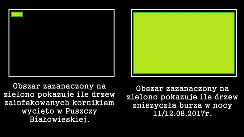 Bez komentarza