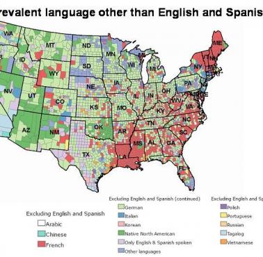 Najpopularniejsze języki w USA poza angielskim i hiszpańskim, podzial na hrabstwa