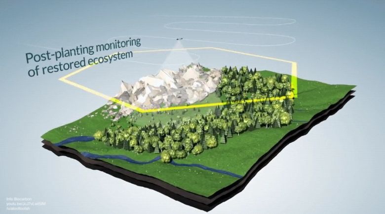 Jak dzięki dronom posadzić 100 000 drzew w ciągu dnia (animacja)
