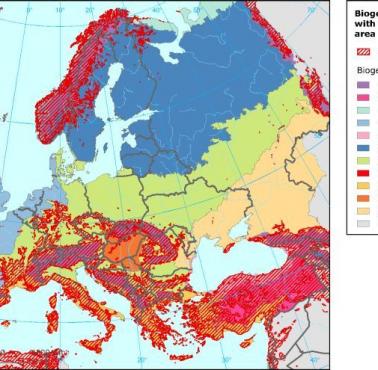 Regiony biogeograficzne Europy