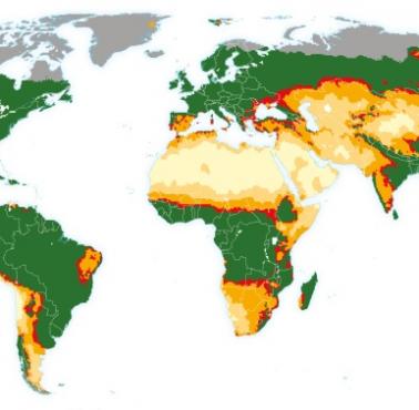 Globalne rozmieszczenie podtypów suchych terenów na podstawie wskaźnika jałowości. Michael Cherlet et al., 2018