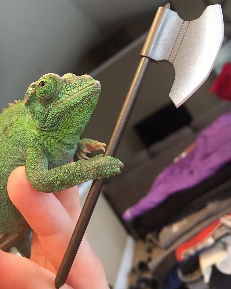 Kameleon