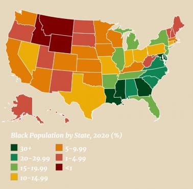 Odsetek czarnoskórych (afroamerykanów) w poszczególnych stanach USA, 2020