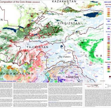 Dominujące grupy etnicznej w Azji Centralnej