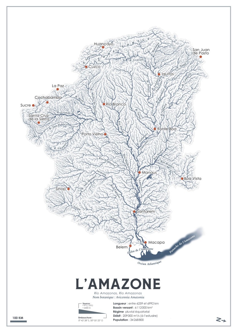 Dorzecze Amazonki