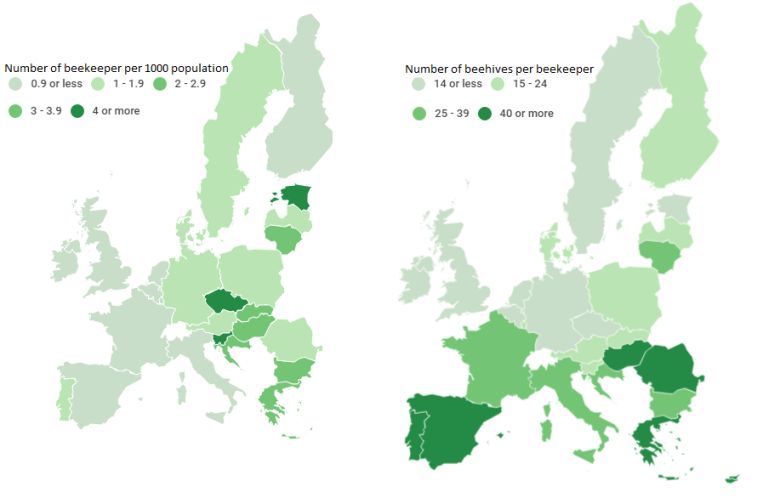 Pszczelarstwo w Europie