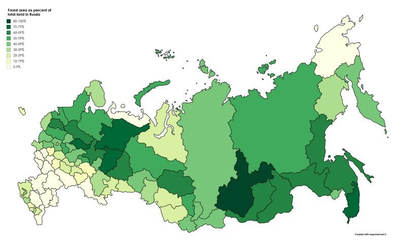 Powierzchnia lasów w procentach w poszczególnych regionach Rosji