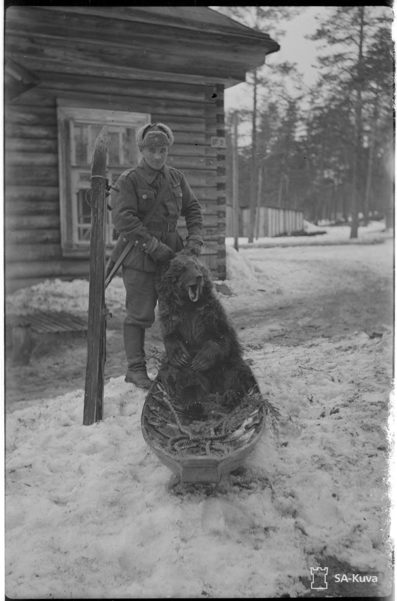 Fiński oficer z zabitym przez siebie niedźwiedziem, Finlandia, okolice jeziora Ładoga, 1943
